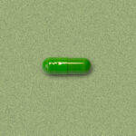 冬蟲夏草 <span class="en-title">Cordyceps</span>